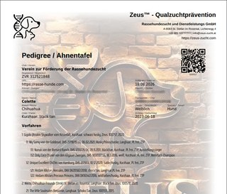 Kopf einer ZEUS-Ahnentafel mit Vereinsname, ZVR-Zahl und Kontrollcode